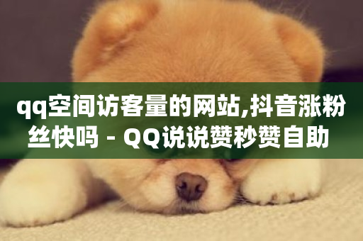 qq空间访客量的网站,抖音涨粉丝快吗 - QQ说说赞秒赞自助 - 抖音评论挣钱是什么套路-第1张图片-ZBLOG