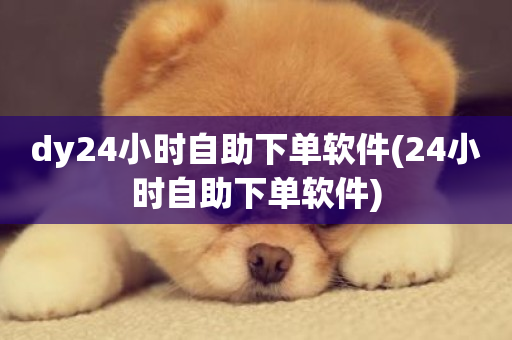 dy24小时自助下单软件(24小时自助下单软件)