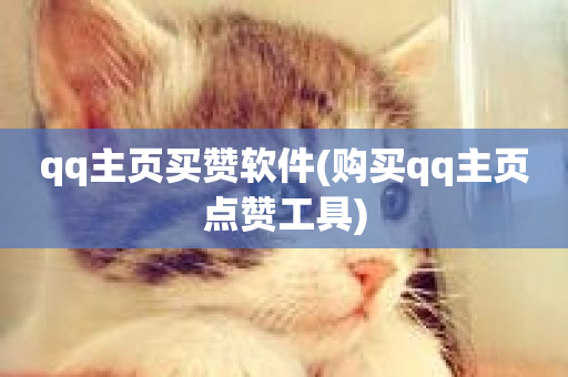 qq主页买赞软件(购买qq主页点赞工具)-第1张图片-ZBLOG