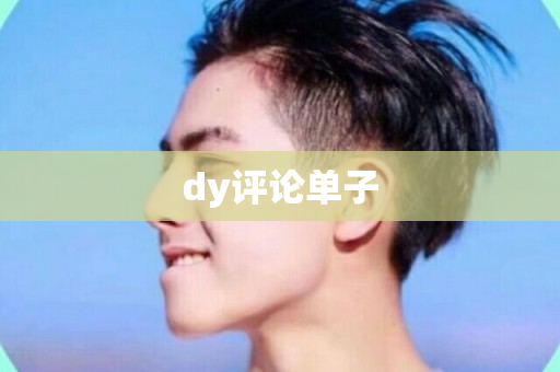 dy评论单子