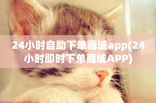 24小时自助下单商城app(24小时即时下单商城APP)-第1张图片-ZBLOG