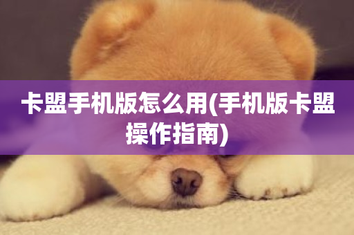 卡盟手机版怎么用(手机版卡盟操作指南)-第1张图片-ZBLOG