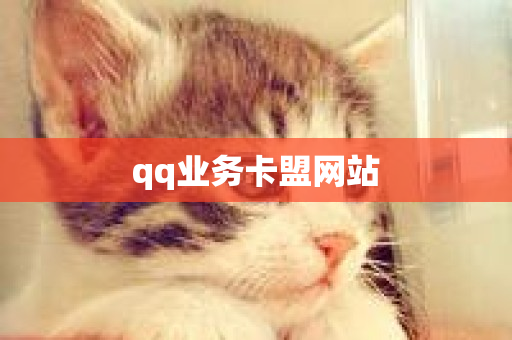 qq业务卡盟网站