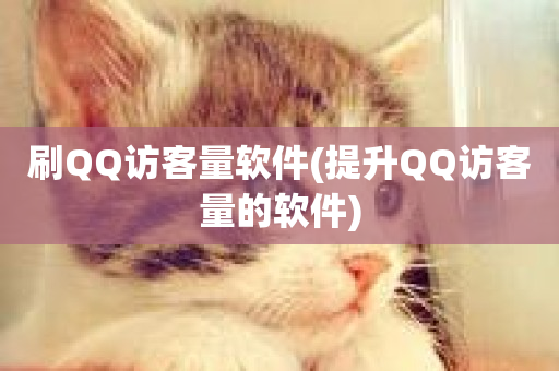 刷QQ访客量软件(提升QQ访客量的软件)-第1张图片-ZBLOG