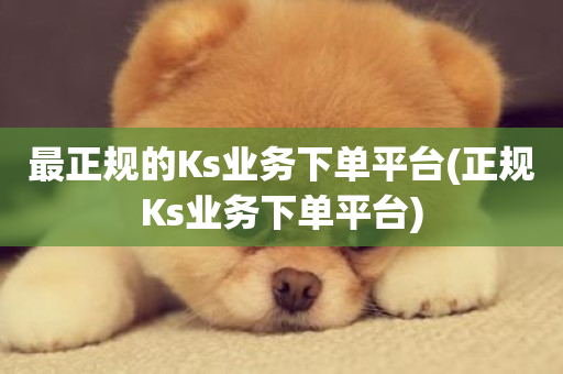 最正规的Ks业务下单平台(正规Ks业务下单平台)-第1张图片-ZBLOG