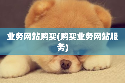 业务网站购买(购买业务网站服务)-第1张图片-ZBLOG