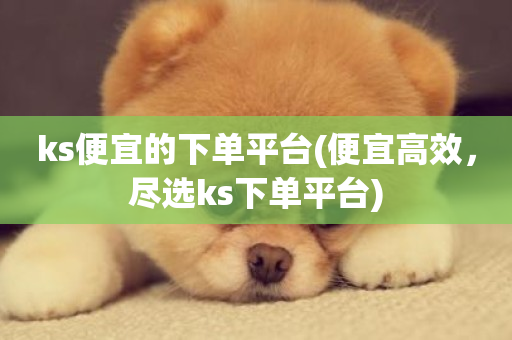 ks便宜的下单平台(便宜高效，尽选ks下单平台)-第1张图片-ZBLOG