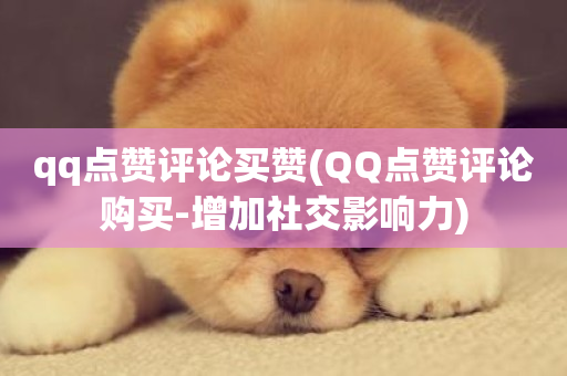 qq点赞评论买赞(QQ点赞评论购买-增加社交影响力)