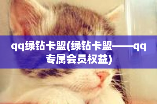 qq绿钻卡盟(绿钻卡盟——qq专属会员权益)-第1张图片-ZBLOG