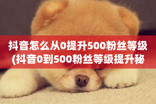 抖音怎么从0提升500粉丝等级(抖音0到500粉丝等级提升秘籍)