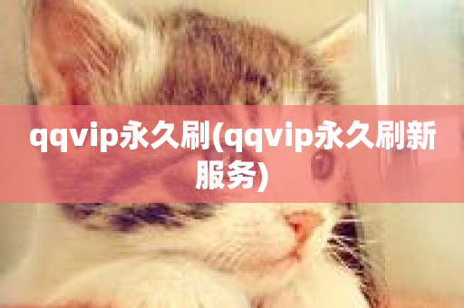 qqvip永久刷(qqvip永久刷新服务)-第1张图片-ZBLOG