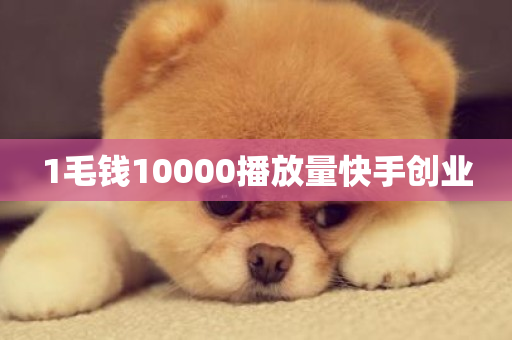 1毛钱10000播放量快手创业-第1张图片-ZBLOG