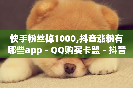 快手粉丝掉1000,抖音涨粉有哪些app - QQ购买卡盟 - 抖音如何推广自己产品-第1张图片-ZBLOG