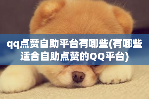 qq点赞自助平台有哪些(有哪些适合自助点赞的QQ平台)-第1张图片-ZBLOG