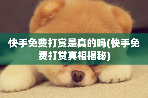 快手免费打赏是真的吗(快手免费打赏真相揭秘)-第1张图片-ZBLOG