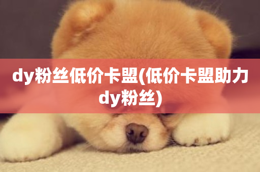 dy粉丝低价卡盟(低价卡盟助力dy粉丝)-第1张图片-ZBLOG