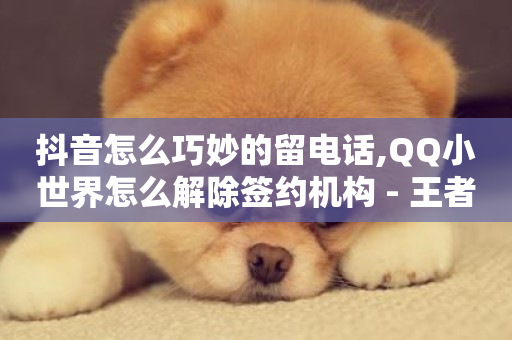 抖音怎么巧妙的留电话,QQ小世界怎么解除签约机构 - 王者官方网站刷人气值 - 王者荣耀主页赞自助平台