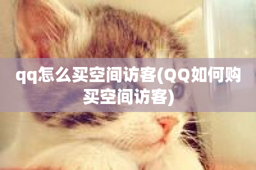 qq怎么买空间访客(QQ如何购买空间访客)-第1张图片-ZBLOG