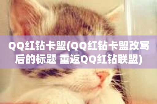 QQ红钻卡盟(QQ红钻卡盟改写后的标题 重返QQ红钻联盟)-第1张图片-ZBLOG