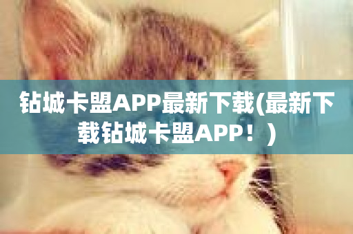 钻城卡盟APP最新下载(最新下载钻城卡盟APP！)-第1张图片-ZBLOG