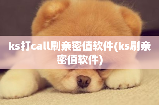 ks打call刷亲密值软件(ks刷亲密值软件)-第1张图片-ZBLOG