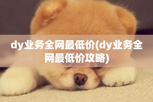 dy业务全网最低价(dy业务全网最低价攻略)-第1张图片-ZBLOG