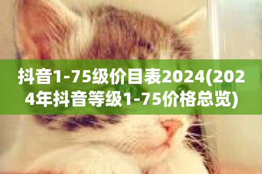 抖音1-75级价目表2024(2024年抖音等级1-75价格总览)-第1张图片-ZBLOG