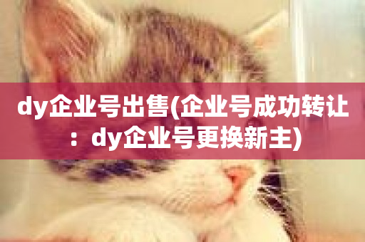 dy企业号出售(企业号成功转让：dy企业号更换新主)-第1张图片-ZBLOG