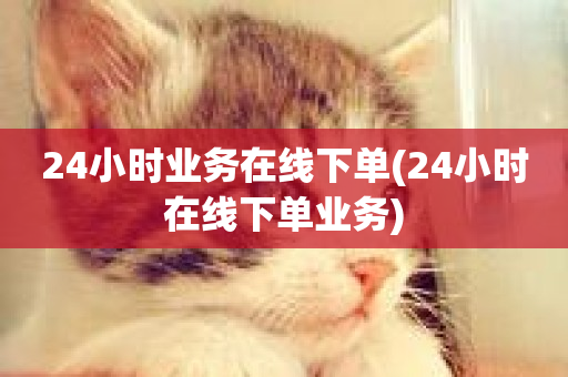 24小时业务在线下单(24小时在线下单业务)-第1张图片-ZBLOG