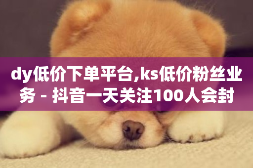 dy低价下单平台,ks低价粉丝业务 - 抖音一天关注100人会封号吗 - 一分钱100快手赞-第1张图片-ZBLOG