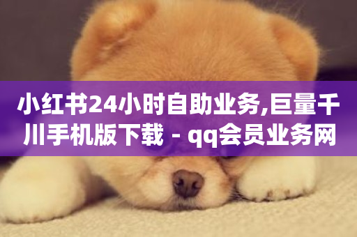 小红书24小时自助业务,巨量千川手机版下载 - qq会员业务网站 - 黑科技激活码商城-第1张图片-ZBLOG