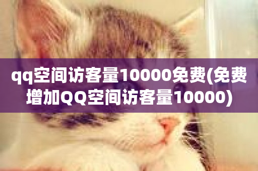 qq空间访客量10000免费(免费增加QQ空间访客量10000)-第1张图片-ZBLOG