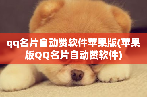 qq名片自动赞软件苹果版(苹果版QQ名片自动赞软件)-第1张图片-ZBLOG