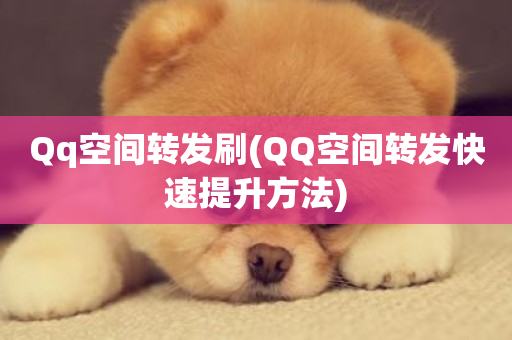 Qq空间转发刷(QQ空间转发快速提升方法)-第1张图片-ZBLOG