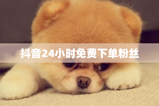 抖音24小时免费下单粉丝-第1张图片-ZBLOG