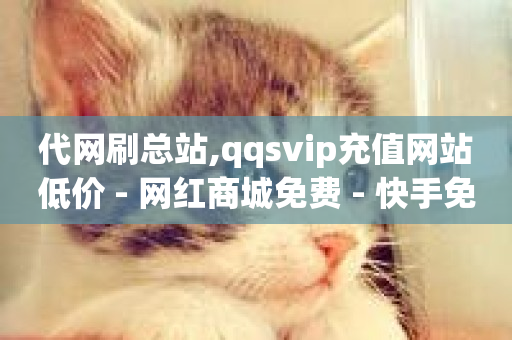 代网刷总站,qqsvip充值网站低价 - 网红商城免费 - 快手免费解封-第1张图片-ZBLOG