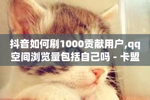 抖音如何刷1000贡献用户,qq空间浏览量包括自己吗 - 卡盟货源批发网 - qq互赞助手2024最新版-第1张图片-ZBLOG