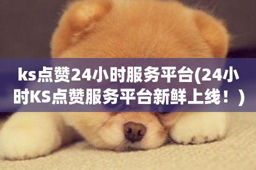 ks点赞24小时服务平台(24小时KS点赞服务平台新鲜上线！)-第1张图片-ZBLOG