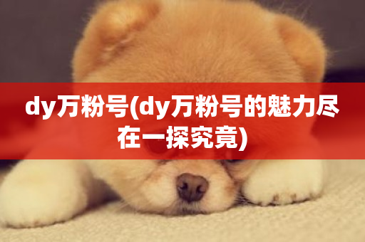 dy万粉号(dy万粉号的魅力尽在一探究竟)-第1张图片-ZBLOG