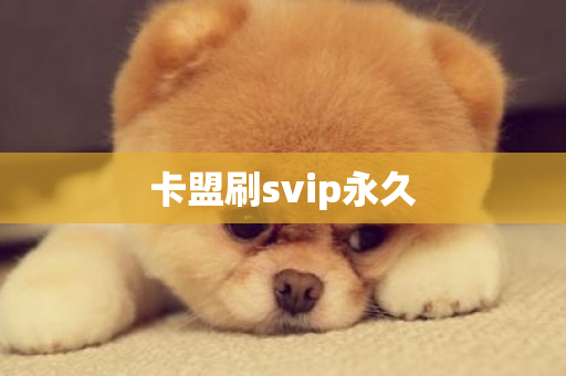 卡盟刷svip永久