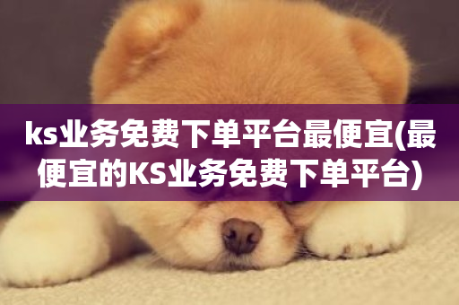 ks业务免费下单平台最便宜(最便宜的KS业务免费下单平台)-第1张图片-ZBLOG