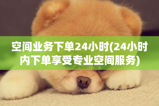 空间业务下单24小时(24小时内下单享受专业空间服务)-第1张图片-ZBLOG