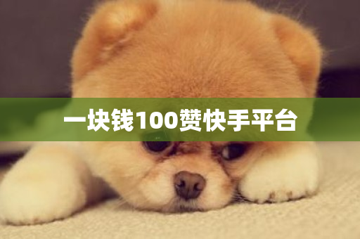 一块钱100赞快手平台-第1张图片-ZBLOG