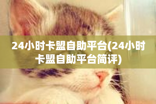 24小时卡盟自助平台(24小时卡盟自助平台简评)-第1张图片-ZBLOG