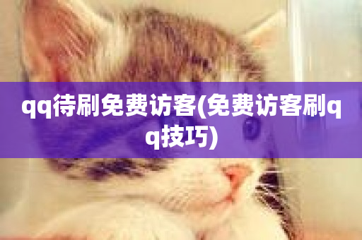 qq待刷免费访客(免费访客刷qq技巧)-第1张图片-ZBLOG