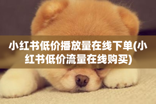 小红书低价播放量在线下单(小红书低价流量在线购买)-第1张图片-ZBLOG