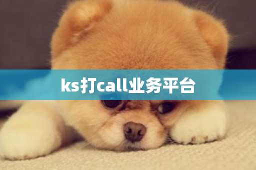 ks打call业务平台-第1张图片-ZBLOG