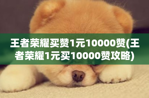 王者荣耀买赞1元10000赞(王者荣耀1元买10000赞攻略)