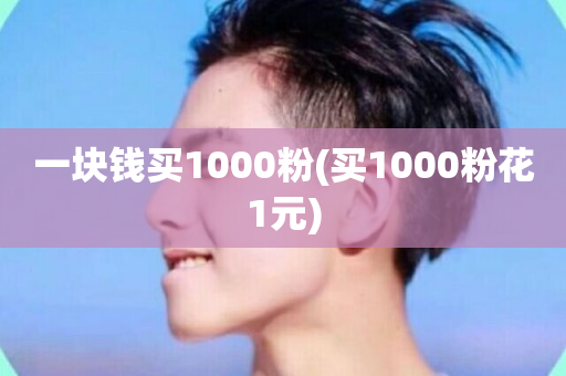 一块钱买1000粉(买1000粉花1元)-第1张图片-ZBLOG