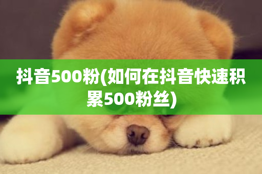 抖音500粉(如何在抖音快速积累500粉丝)-第1张图片-ZBLOG